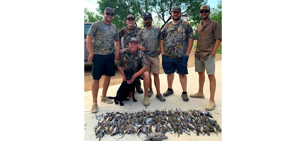 dove hunt 2020 crop