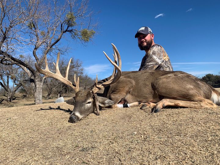 whitetail 24 inch spread